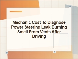 Mechanic Cost to Diagnose a Power Steering Leak